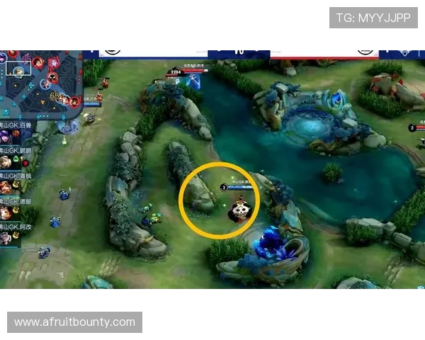 深入解析ag厅官网的游戏规则与策略技巧